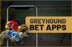 greyhound bet app